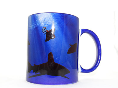 Taza